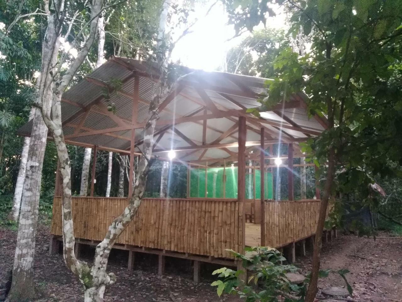 Хостел Majacho'S House Пуэрто-Мальдонадо Экстерьер фото